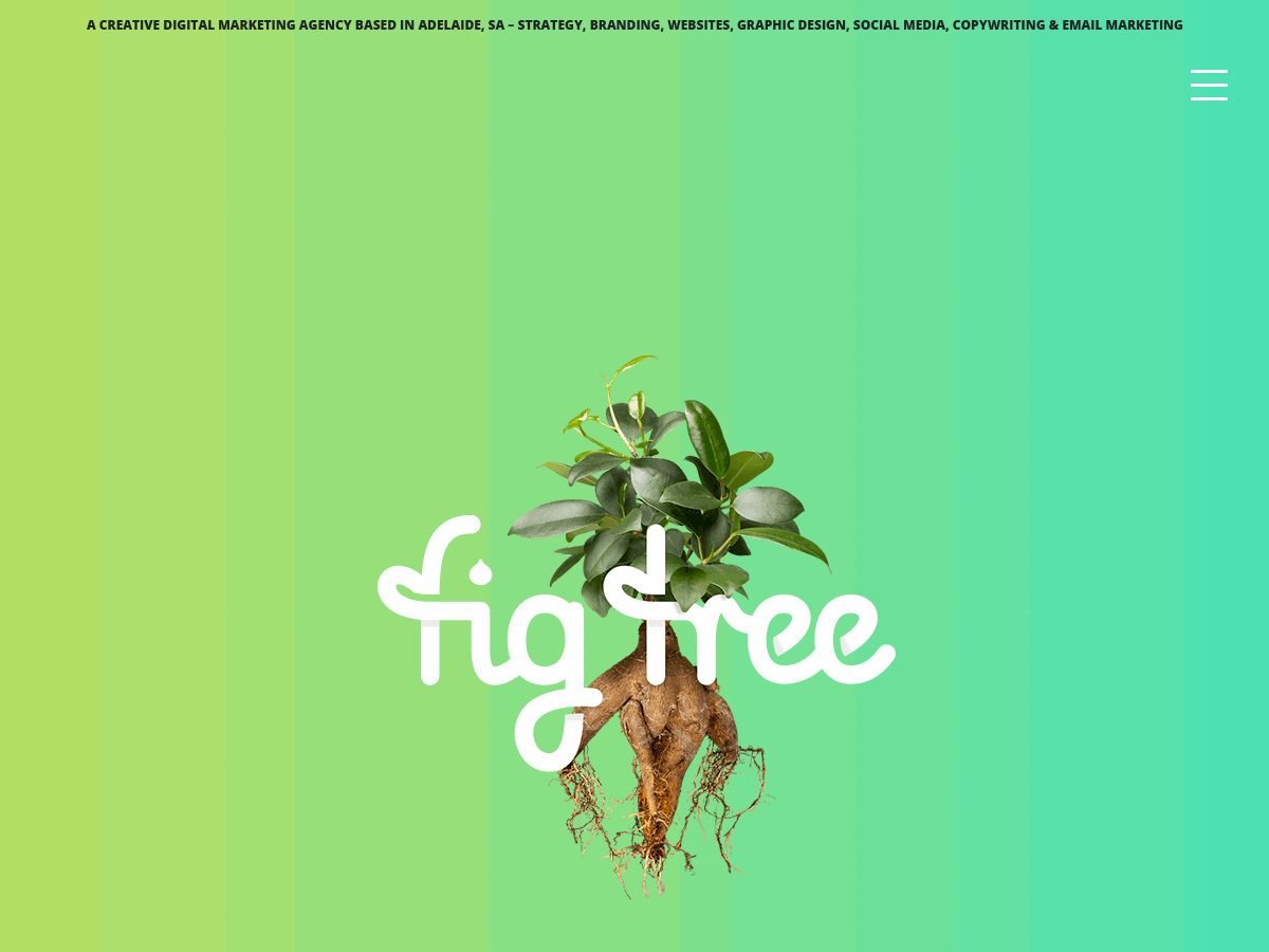 Fig Tree Digital website