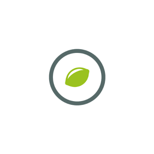 LIMESODA logo