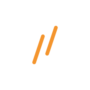 Netprofile logo