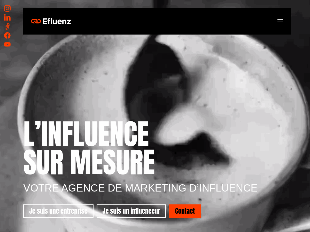 Efluenz EU website